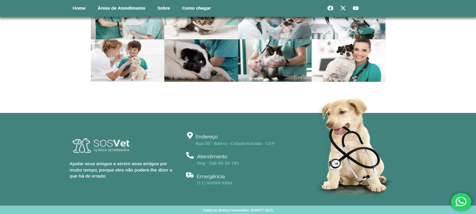 VET 2